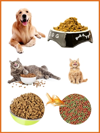 Machine d'extrudeuse d'aliments pour animaux de compagnie